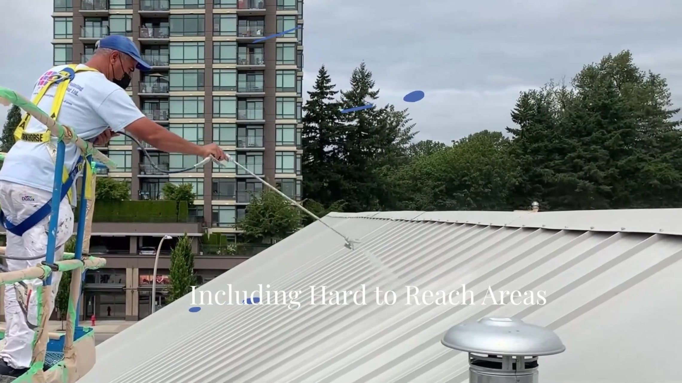 Professional Painting Services